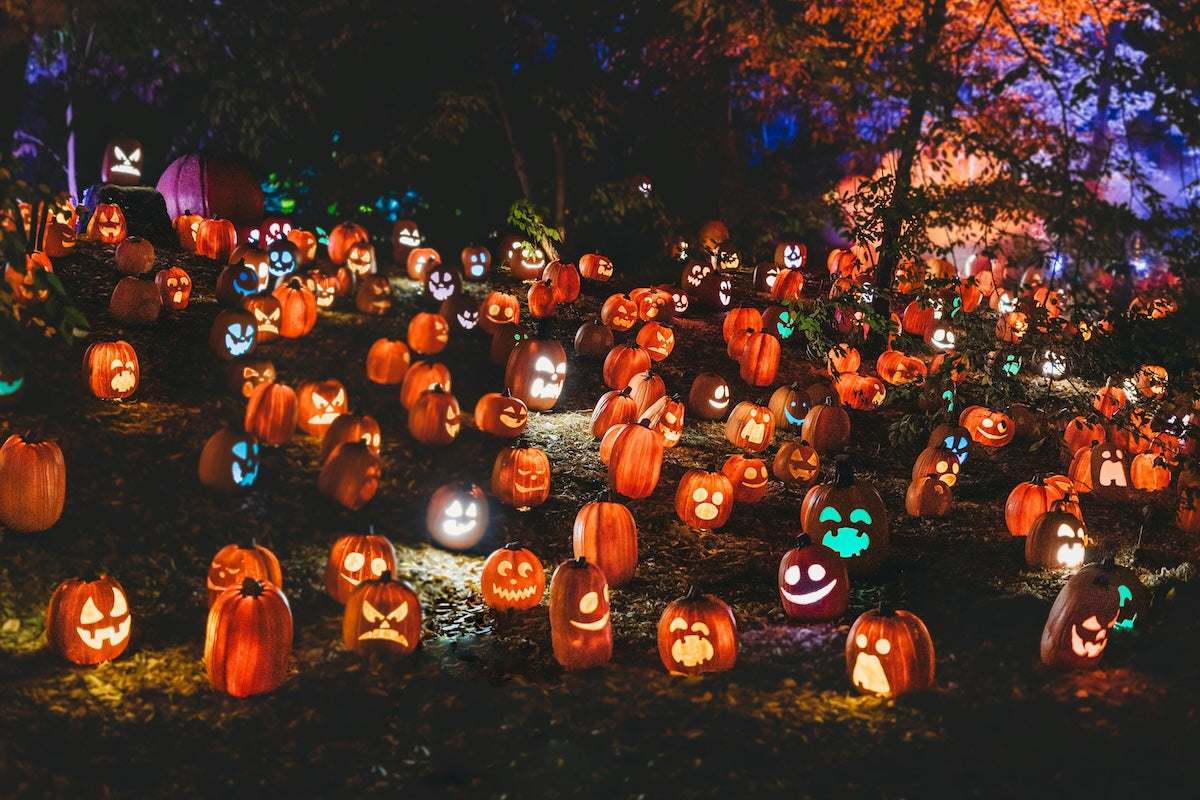 Group Halloween Costumes